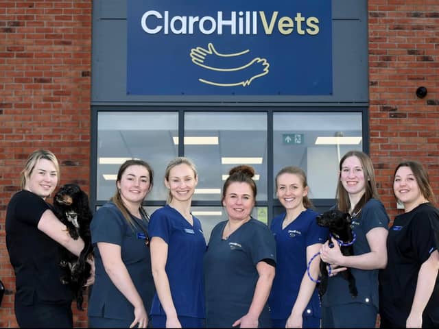 Meet the team at Claro Hill Vets, left to right, Kathryn Sowray (RVN), Georgina Vicente (morning receptionist), Laura Keyser (vet), Debbie Troake (receptionist/admin), Heather Morrison (vet), Molly Brown (afternoon receptionist) and Stacey Andrews (RVN)
