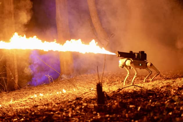 The Thermonator flamethrowing robot dog. 