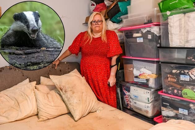 Rae Boxley, 51, has been trapped in her home by badgers but the council won't help because they are a protected specie