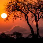 Kruger National Park offers a breathtaking blend of natural beauty and rich wildlife