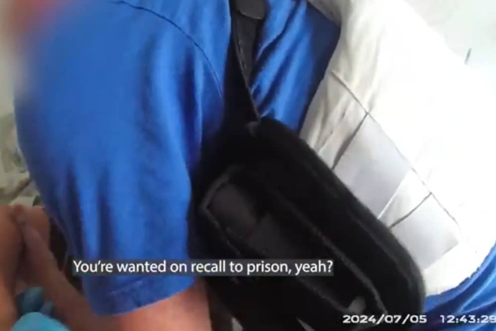 “I’ve got two kids, I’ve played hide and seek many times!” - police find WANTED man
