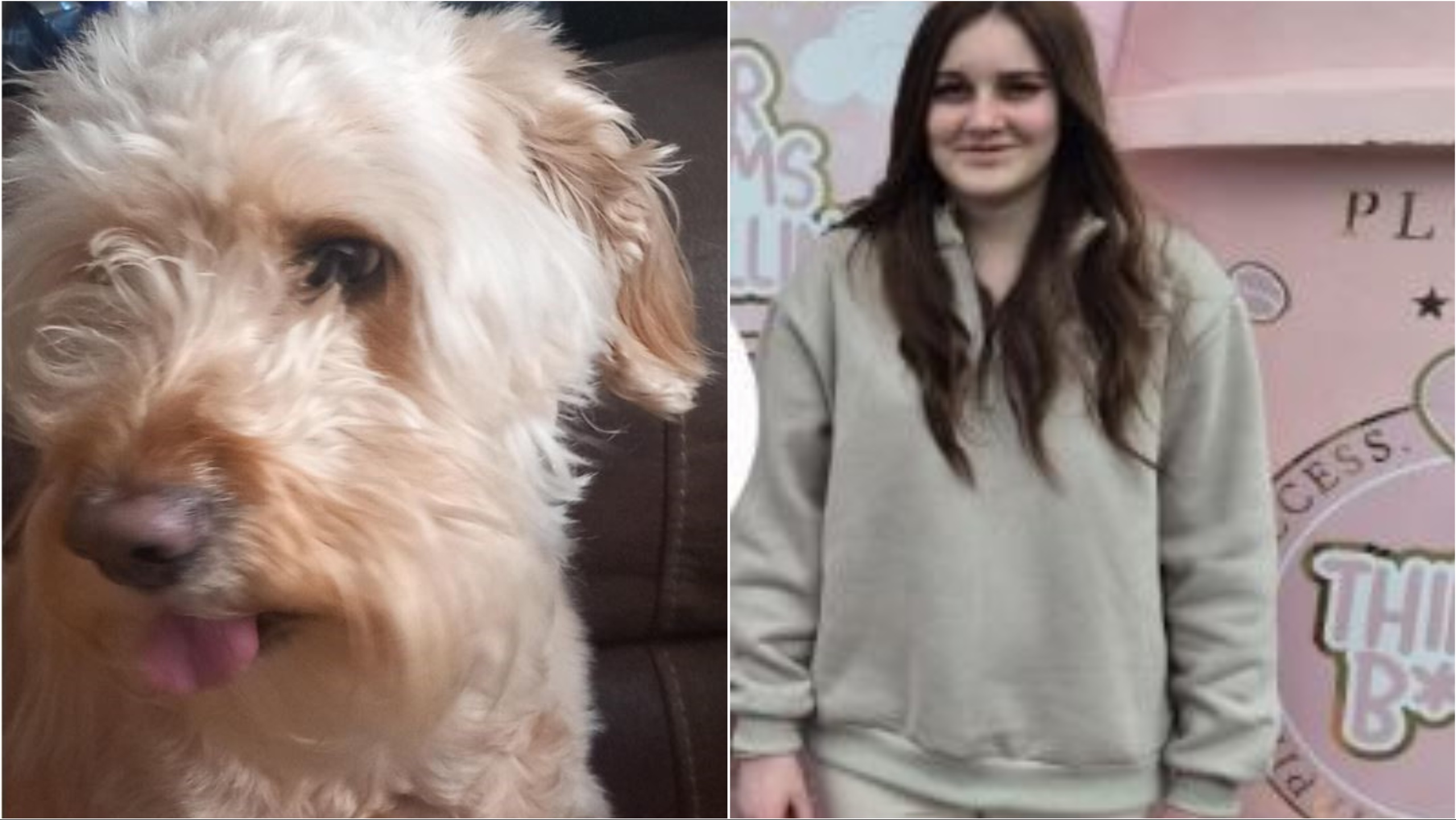 Isabella Hayward: Police appeal after 14-year-old girl goes missing ...