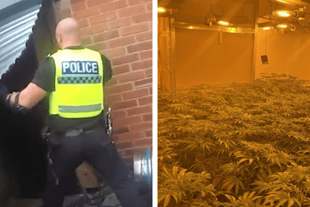 Over £1m of cannabis seized in Doncaster as police crack down on ...