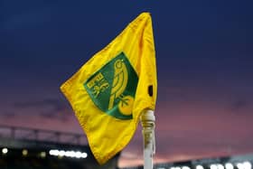 Norwich City are set to play host to Championship basement boys Sheffield Wednesday. 