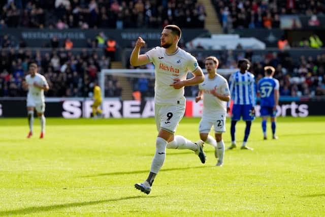 Swansea City's Zan Vipotnik has registered 20 goals in the Championship this season.