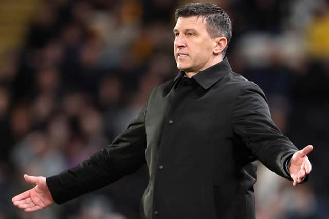 Sergej Jakirovic has defended the condition of Hull City's pitch.