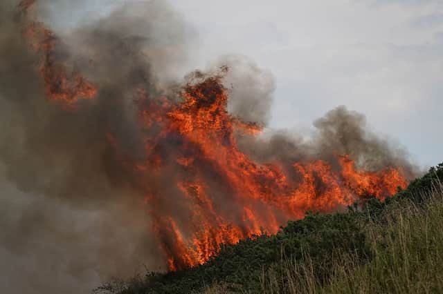 The Langdale Moore fire last August. Credit: Getty