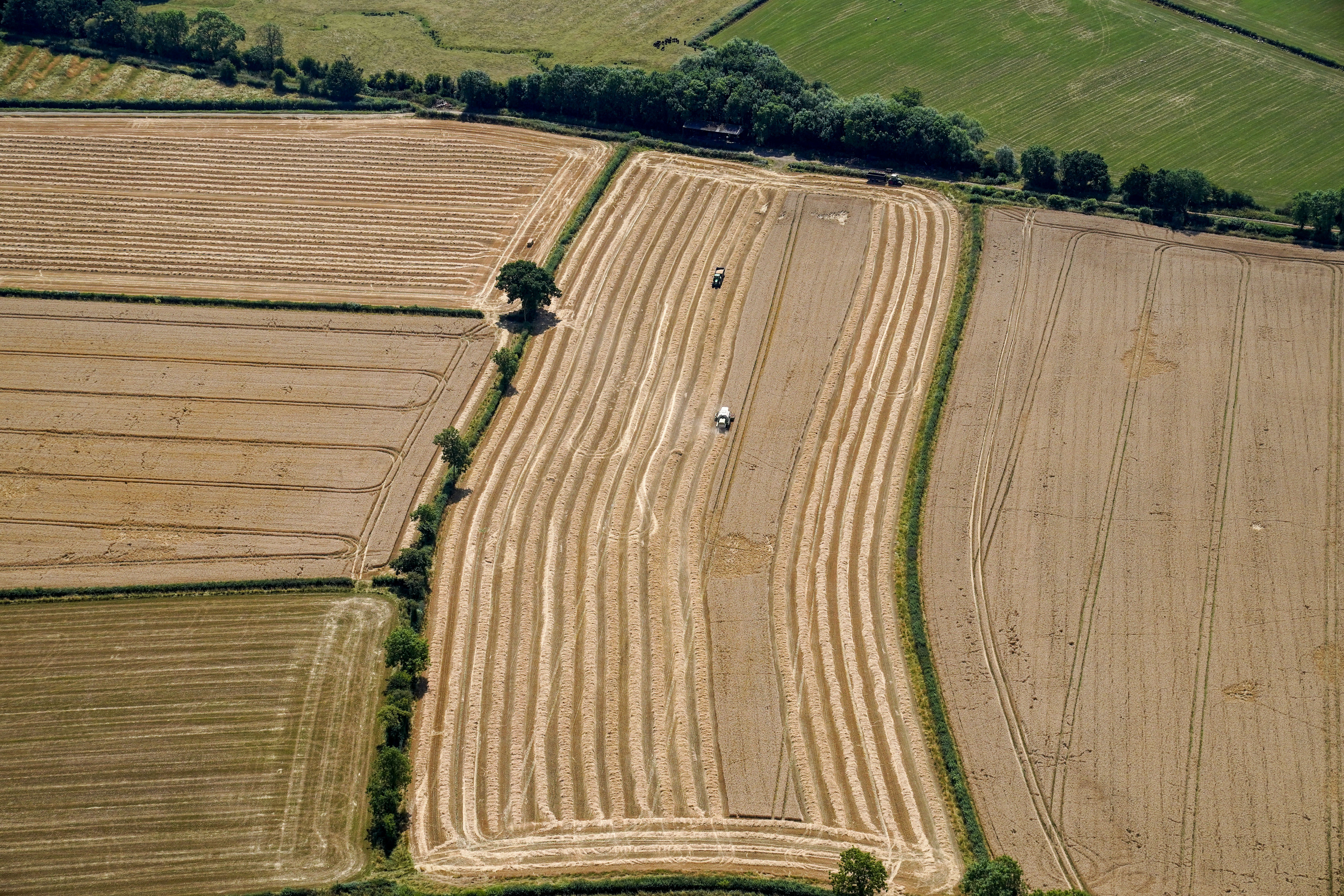Farmers call for interest-free loans to protect next year's food production