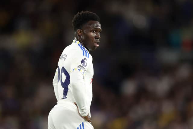 Wilfried Gnonto has found opportunities limited since Leeds United's promotion to the Premier League.