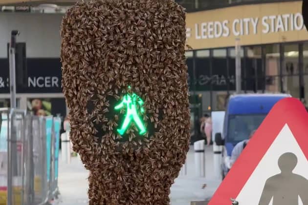 A huge swarm of bees at a road crossing left commuters stunned on New Station Street in Leeds