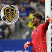 Leeds United have been repeatedly linked with Japan international Zion Suzuki. 