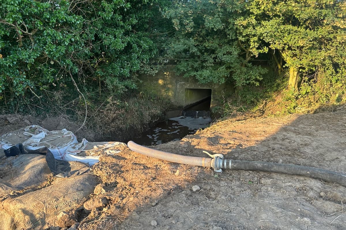Befürchtungen, dass Ammoniakverschmutzung Weiden und Wasserlebewesen in ...