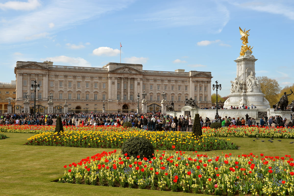 Big discount on fun sightseeing trips around London 'without rushing round' over half-term