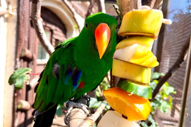 Eckie the parrot delighted visitors to Sewerby Hall and Gardens for over a decade