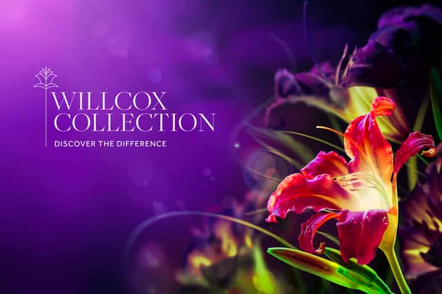 Read the Willcox Collection brochure