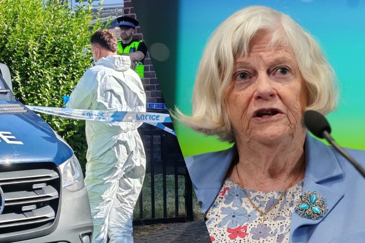 Ann Widdecombe killing ‘inextricably linked’ to Farage terror plot, court told