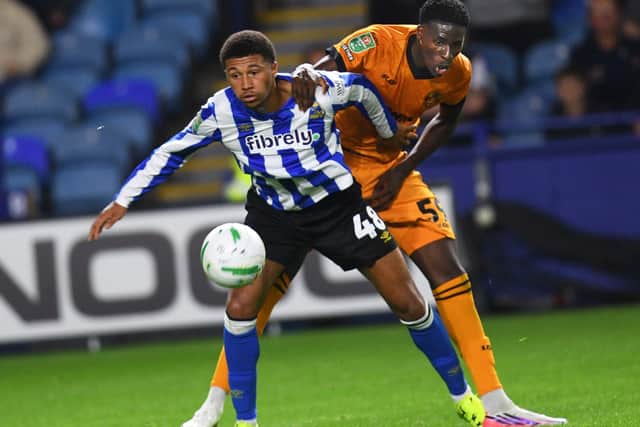 Hull City’s Mason Burstow is due to spend the rest of the season at Sheffield Wednesday. 