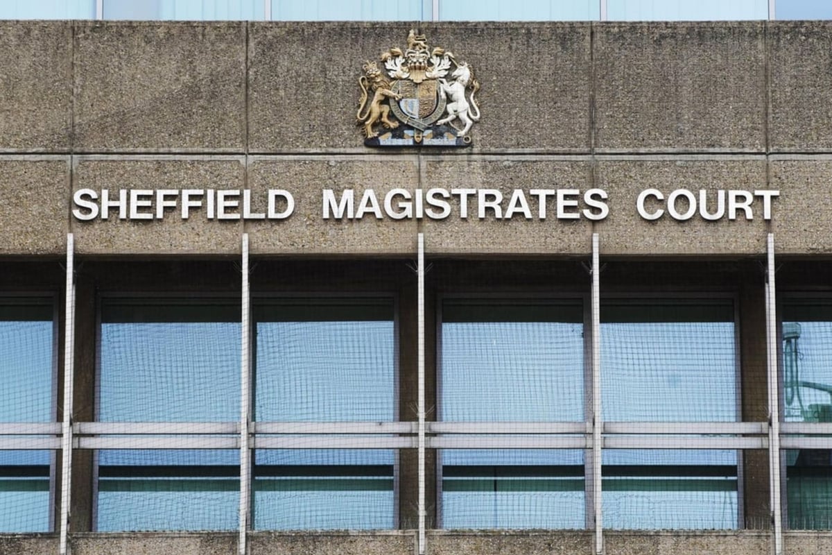 Woman sentenced after more than 40 dogs found living in filthy conditions at allotment