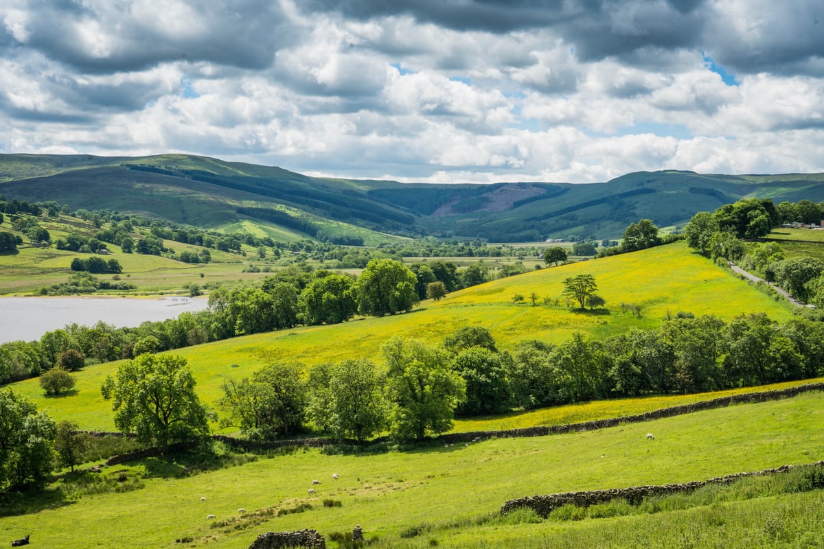 Project Gigabit: more than half of rural Yorkshire fitted with high-speed broadband