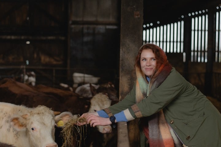 'I'm a Yorkshire Dales cattle farmer - SFI doesn't work for me'