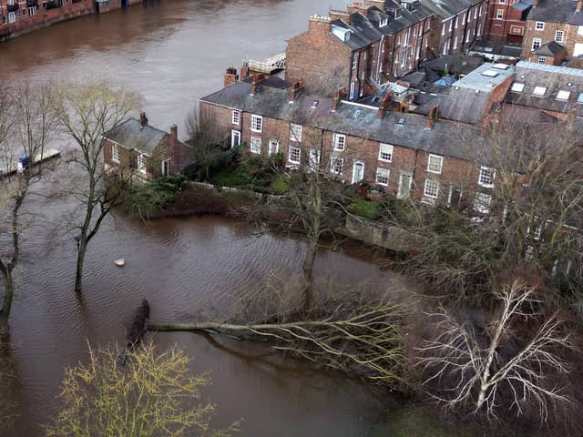 An aerial picture taken in January 2024 shows a fallen tree laying down in water following the bursting of the banks of the River Ouse, in York.