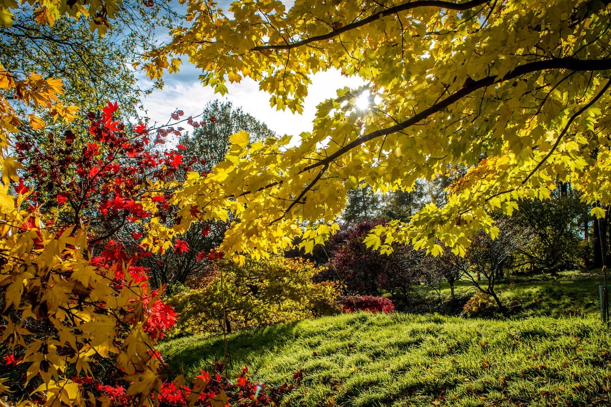 12 top gardens to visit to experience incredible autumn colour - including one in Yorkshire