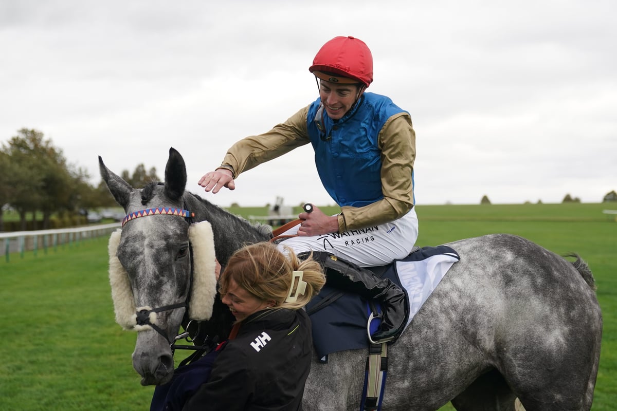 'No horse deserves that' - Yorkshire racehorse trainer hit hard by death of brilliant mare Fallen Angel