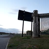 Yorkshire Wildlife Park: Witnesses describe moments before death of man who entered tiger enclosure