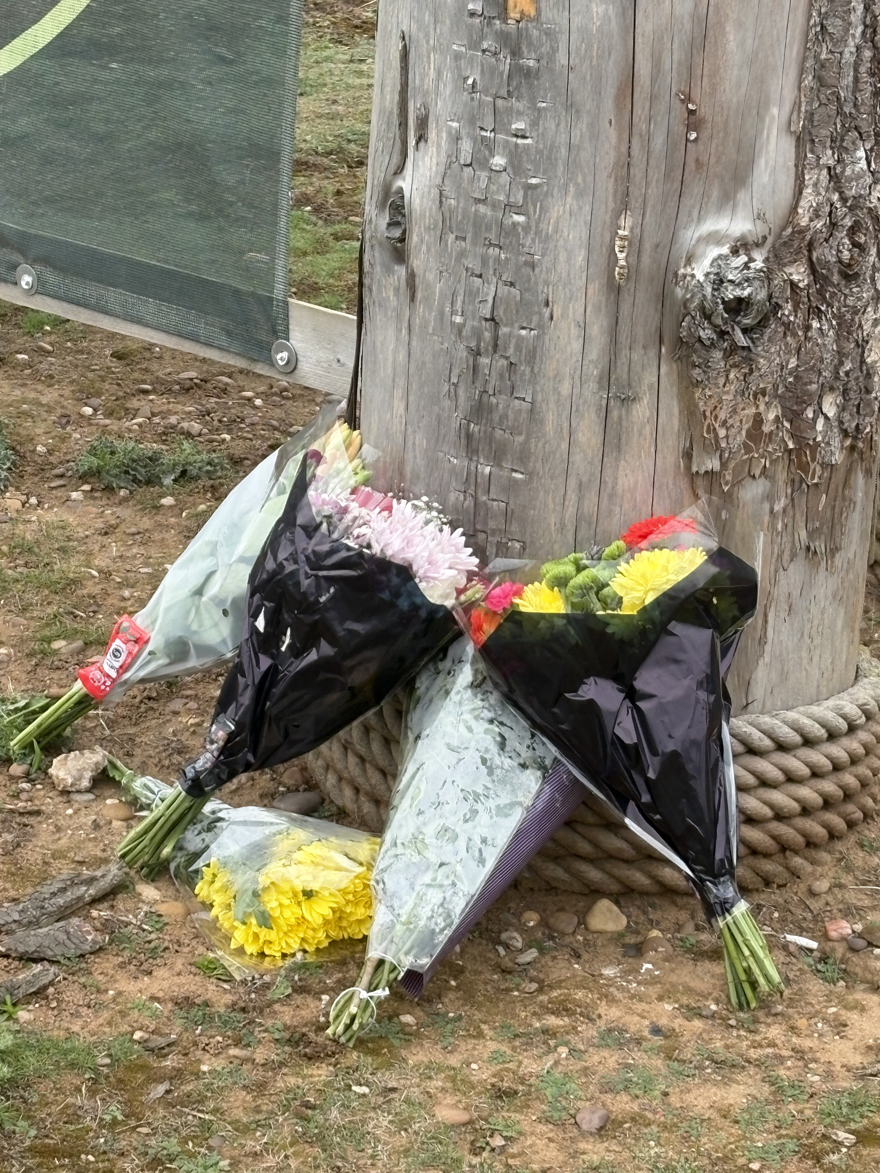 Yorkshire Wildlife Park: Anwohner kritisiert Reaktion auf Tod des Mannes ...