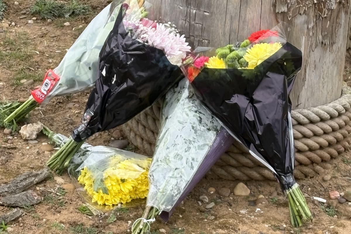 Yorkshire Wildlife Park: Anwohner kritisiert Reaktion auf Tod des Mannes ...