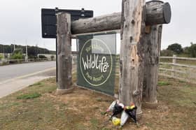 Yorkshire Wildlife Park: flowers are laid following the death of a man inside the park's tiger enclosure (photo, PA)