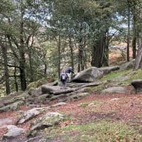 Longshaw Estate: Police appeal after graffiti vandalism at popular beauty spot