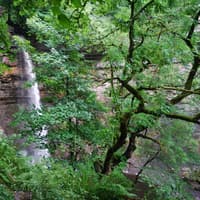 Hardraw Force: 'I was enthralled by the highest single-drop waterfall in England'