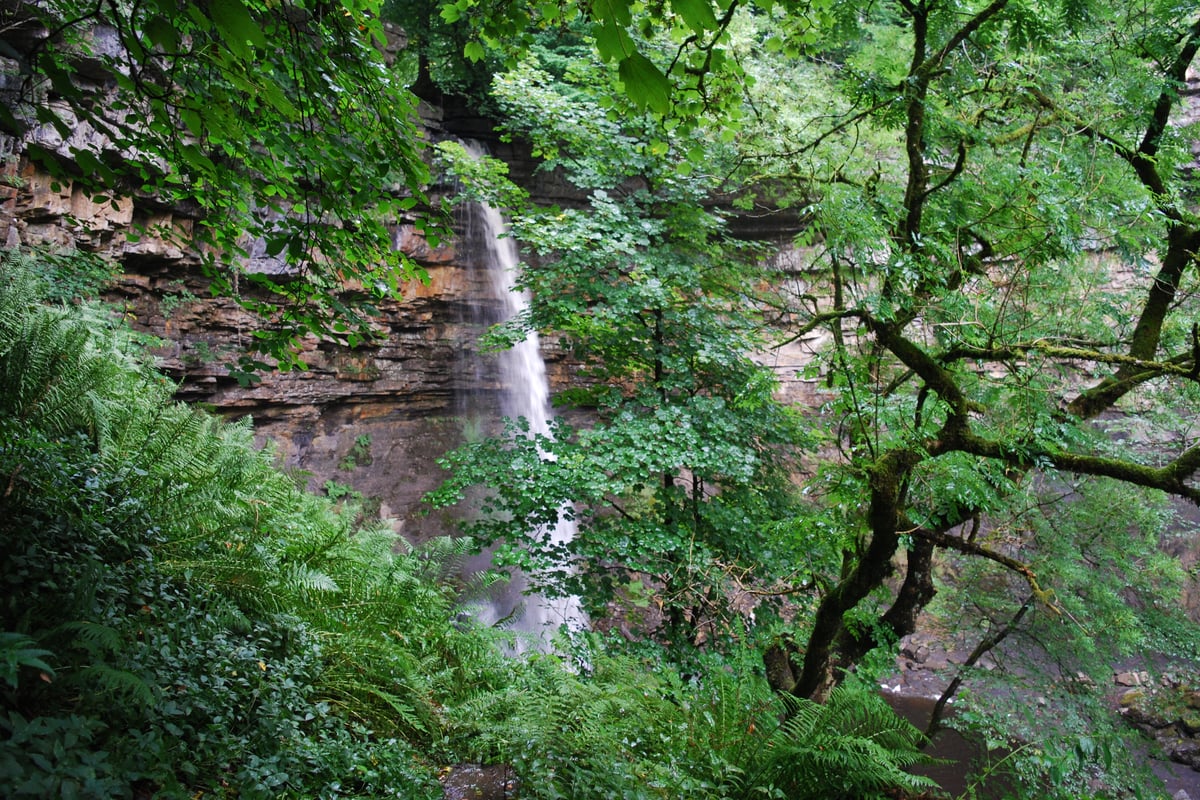 Hardraw Force: 'I was enthralled by the highest single-drop waterfall in England'