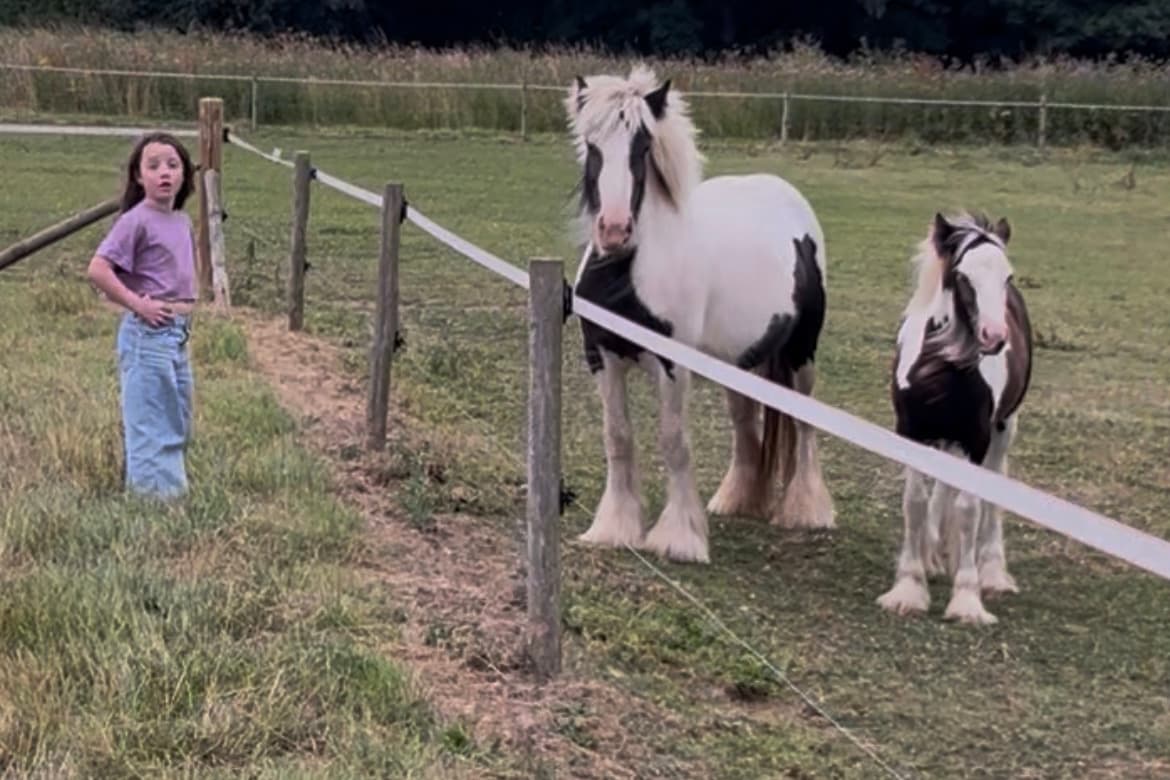 Tragödie: Achtjähriges Mädchen aus North Yorkshire verliert innerhalb ...