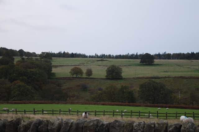 Scenery along the Harrogate Link