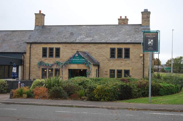 The Curious Cow in Harrogate