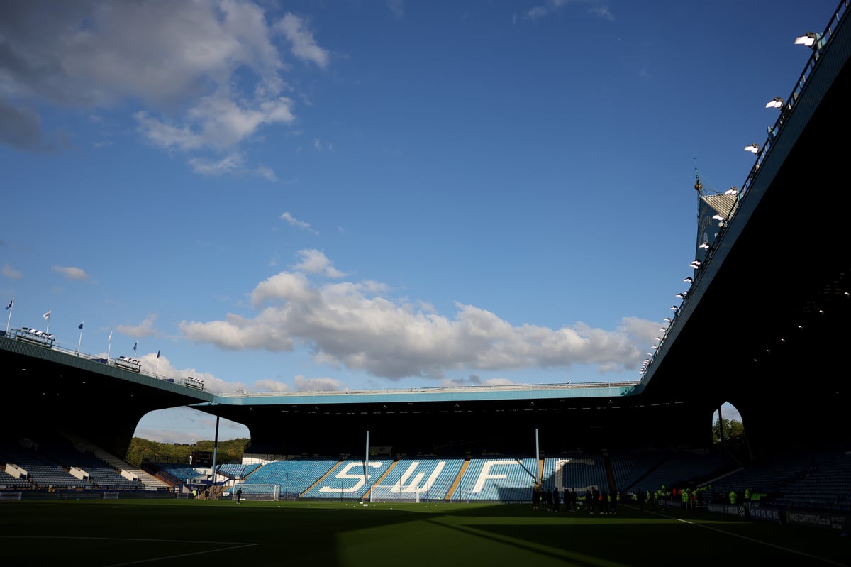 Sheffield Wednesday next manager: Ex-Stockport County, Middlesbrough, Everton & Leeds United men among favourites