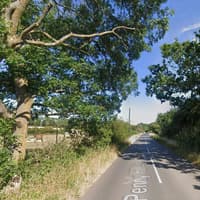 Woman, 22, dies after car crashes into telegraph pole as three arrested