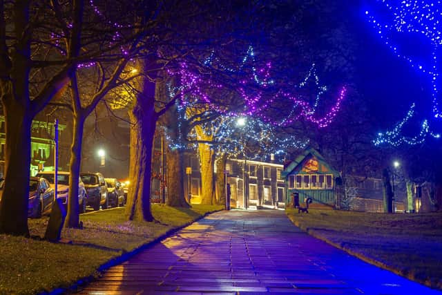 String lights adorn the trees by The Stray on Montpellier Hill in Harrogate.  Technical details, shot on a Nikon D3s, 28-70mm lens with an exposure of  10 seconds @ f16, 100ISO.  Picture Tony Johnson
