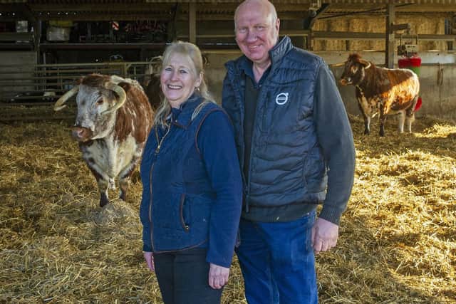 Angela and David Blockley with their Longhorn cattle