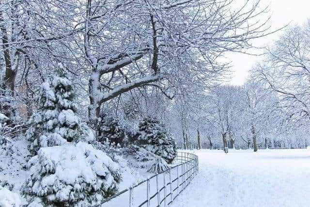 Heavy snow is set to fall across Yorkshire on Monday morning