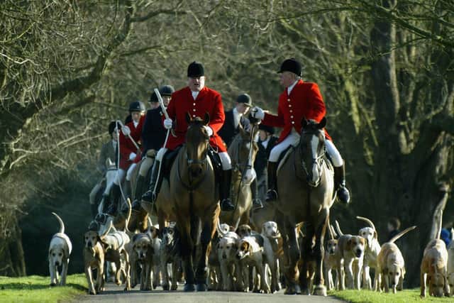 Hunting with hounds remains a controversial topic.