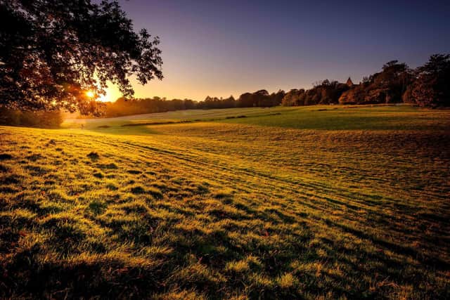 Site of the Battle of Hastings, East Sussex, which is one of the locations targeted by nighthawking criminals. Picture: Jim Holden/English Heritage
