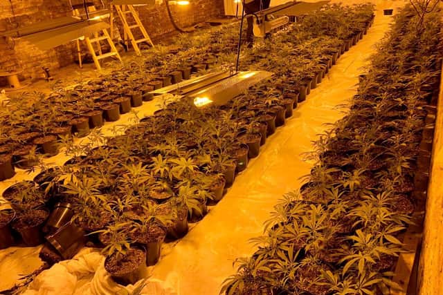 Cannabis farm discovered by police officers in Batley town centre