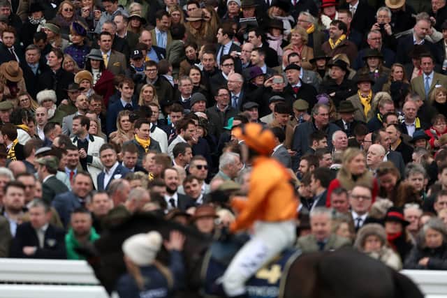 Up to 60,000 racegoers are expected each day at next week's Cheltenham Festival.
