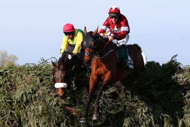 Dual Grand National hero Tiger Roll is due to line up at next week's Cheltenham Festival.