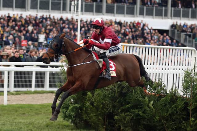 SAME AGAIN? Tiger Roll and Keith Donoghue, pictured on their way to winning the Glenfarclas Chase at last year's Cheltenham Festival at Cheltenham. Picture: Nigel French/PA