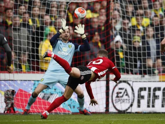 Billy Sharp heads Sheffield United in front at home to Norwich City