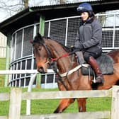 Lois Teale riding out at Richard Fahey's yard